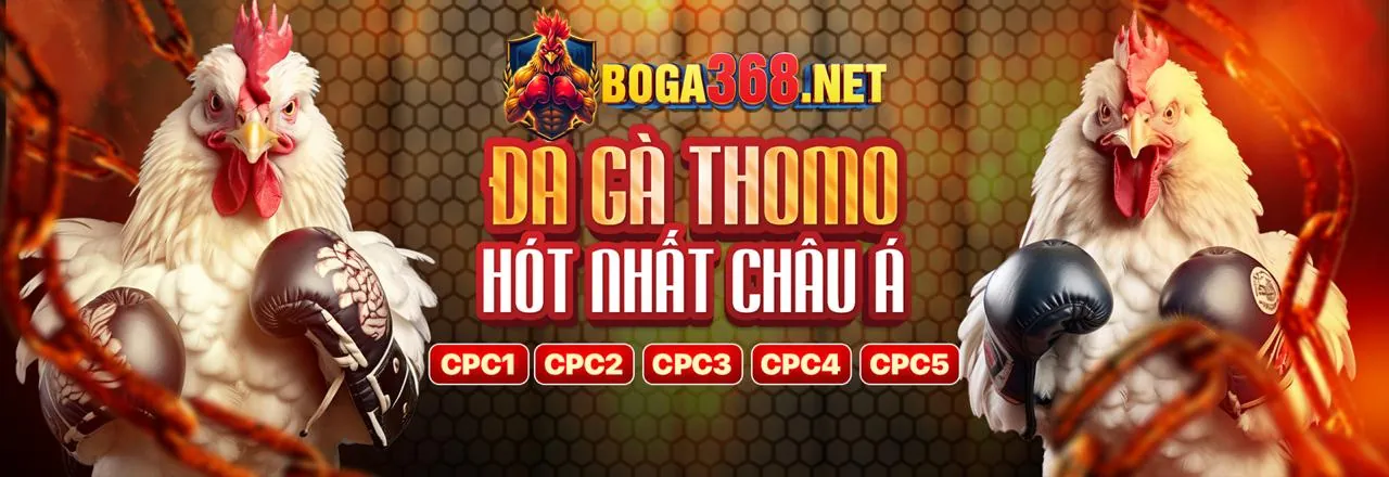 Đá gà trực tuyến kịch tính tại vip66 Nổ Hũ